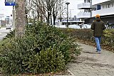 06-01-2021 Breda - Doordat er geen kerstboomverbrandingen of inzamelingen plaats vinden vanwege het coronavirus, liggen in de stad in sommige straten bergen met kerstbomen. - Fotokrant